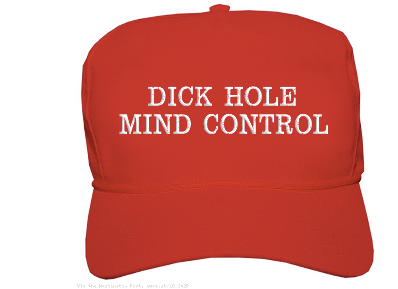 Illustration for article titled Inspiring Political Hats For A Newly Great America